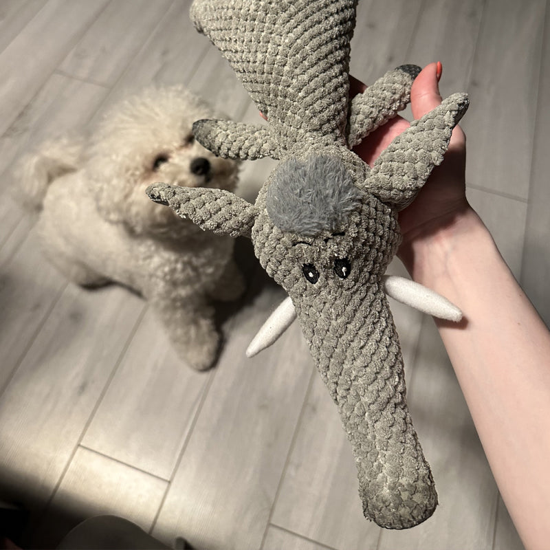 Onverwoestbaar Honden Kauwspeelgoed – Extra Sterk & Duurzaam