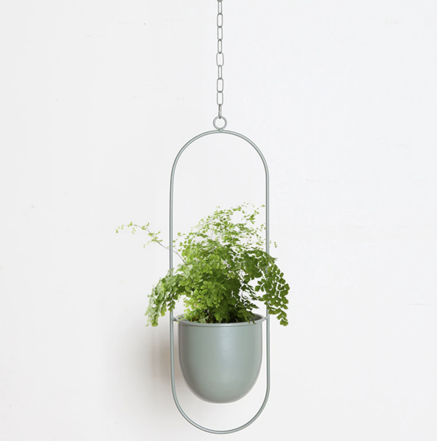 Wand Plantenhouder Metaal – Modern Design voor Binnen