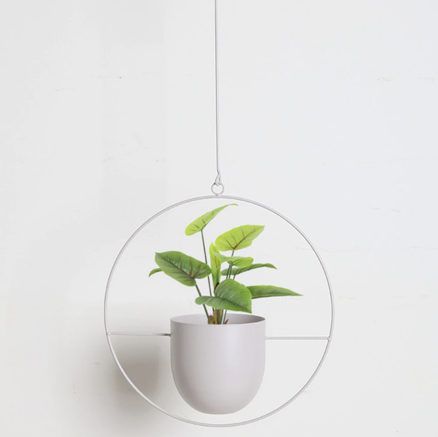 Wand Plantenhouder Metaal – Modern Design voor Binnen