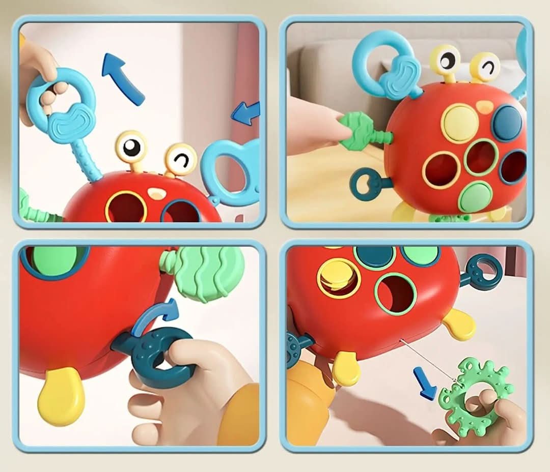 Sensorische Krab – Bewegend Speelgoed voor Baby’s en Peuters