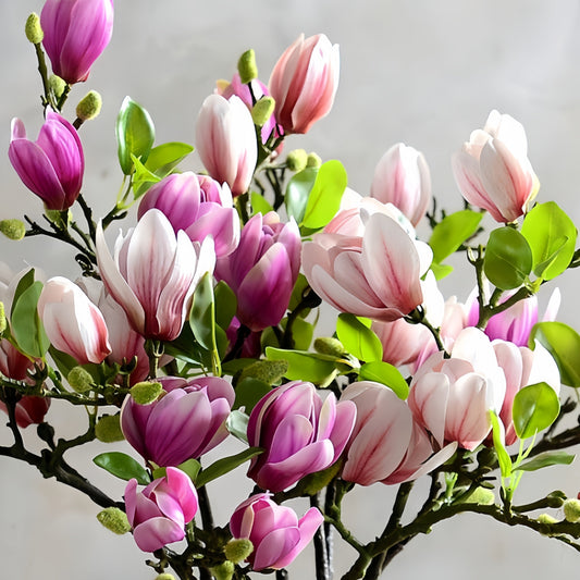 Elegante Zijden Magnoliabloemen Set van 4 Stuks – 68 cm