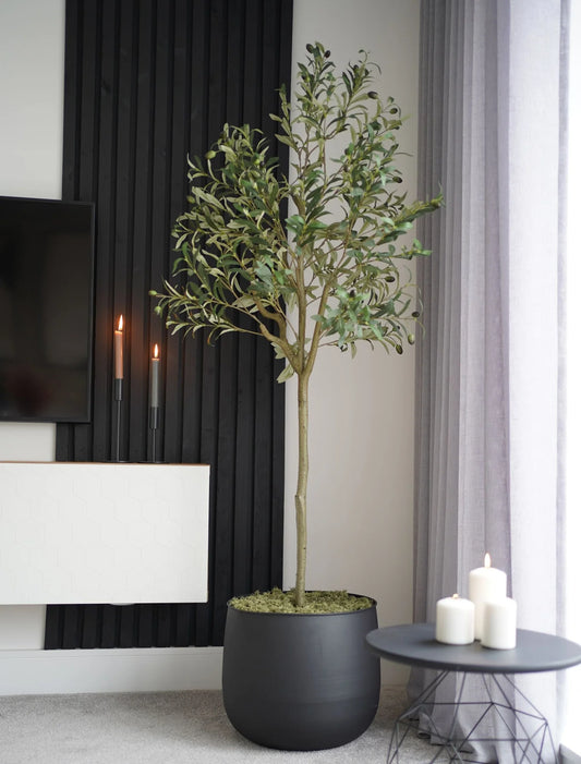 Kunst Olijfboom – Tijdloze Luxe Zonder Onderhoud