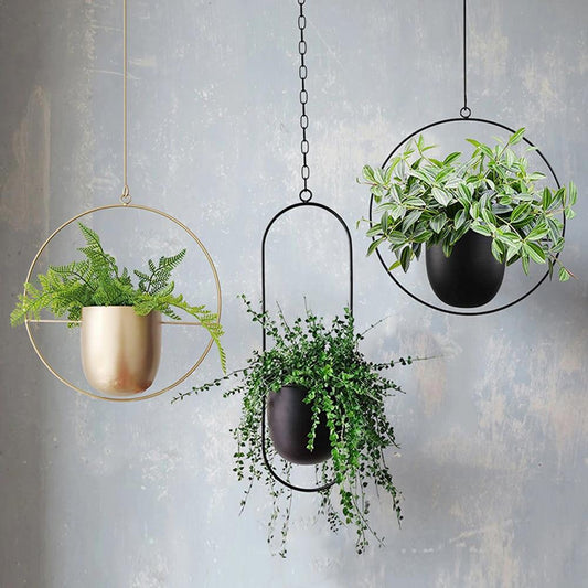Wand Plantenhouder Metaal – Modern Design voor Binnen